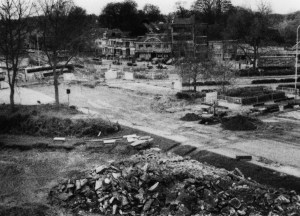 Open wound 15 - (c) Kim Van Semang