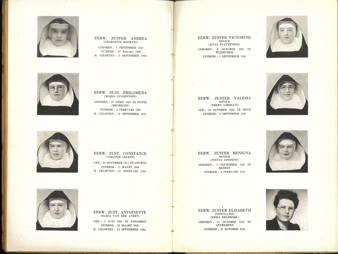 ferdinand-coosemans-10